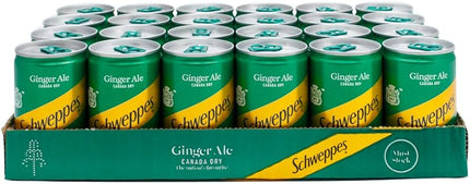 Schweppes Ginger Ale 24X 150Ml